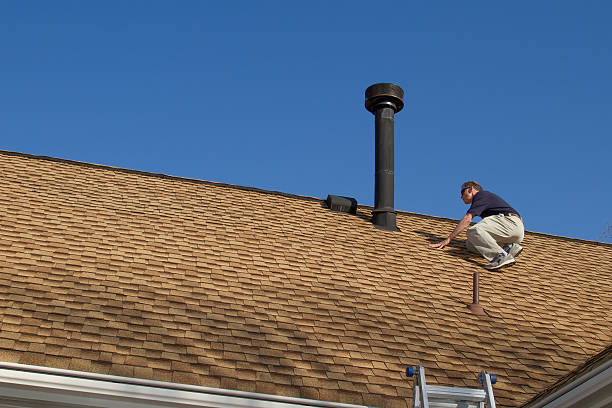 Best Roof Moss and Algae Removal  in Brockway, PA